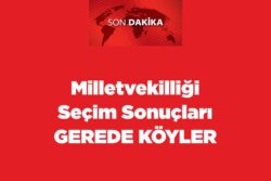 Milletvekilliği Seçim Sonuçları Gerede Köyler