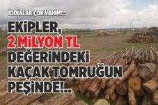 EKİPLER, 2 MİLYON TL DEĞERİNDEKİ KAÇAK TOMRUĞUN PEŞİNDE!..