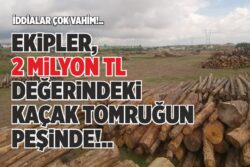 EKİPLER, 2 MİLYON TL DEĞERİNDEKİ KAÇAK TOMRUĞUN PEŞİNDE!..