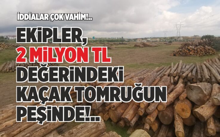 EKİPLER, 2 MİLYON TL DEĞERİNDEKİ KAÇAK TOMRUĞUN PEŞİNDE!..